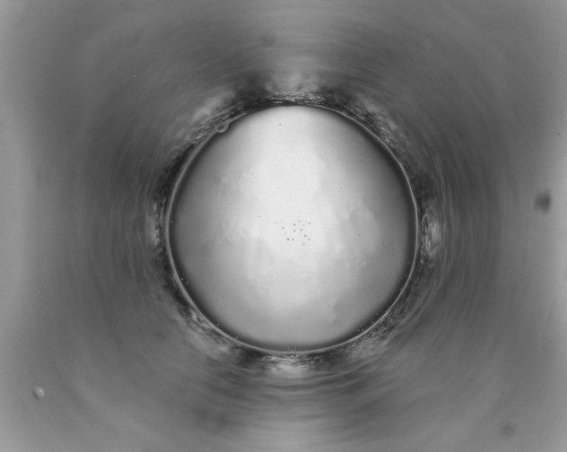 X0000090500658200707280002