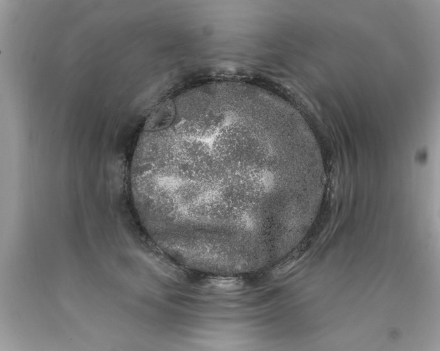 X0000090500659200707280002