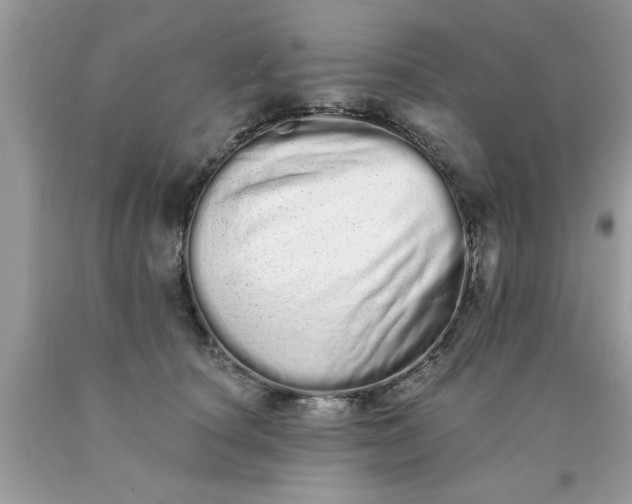 X0000090500660200707280002