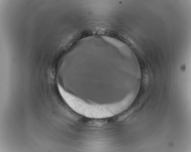 X0000090500661200707280002