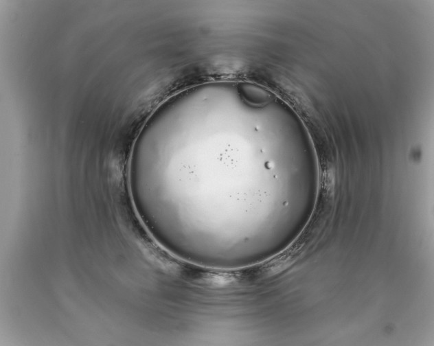 X0000090500662200707280002