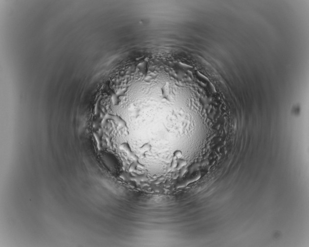 X0000090500663200707280002