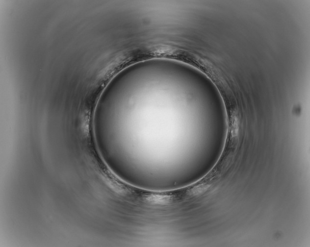 X0000090500664200707280002