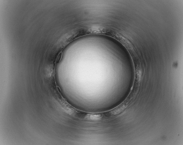 X0000090500665200707280002