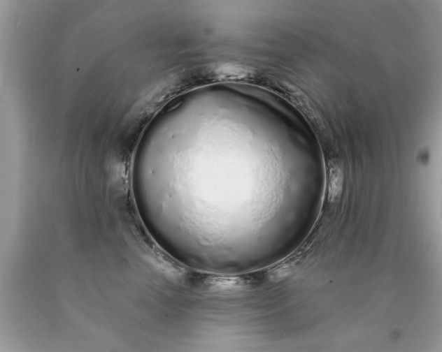 X0000090500666200707280002