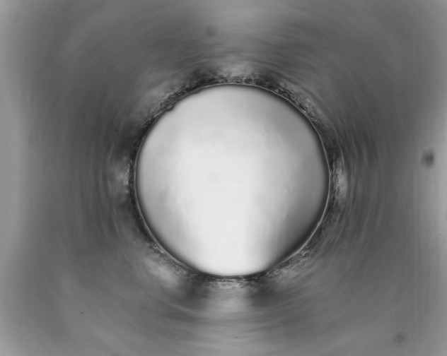 X0000090500668200707280002