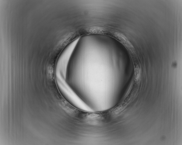 X0000090500669200707280002