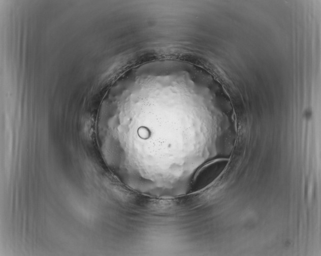 X0000090500671200707280003