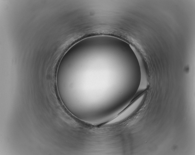 X0000090500673200707280002