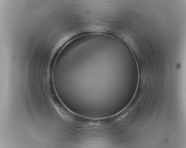 X0000090500674200707280002