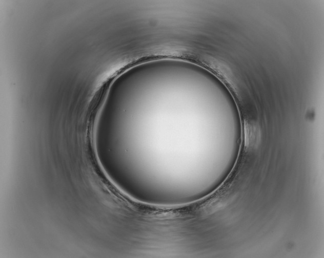 X0000090500675200707280002