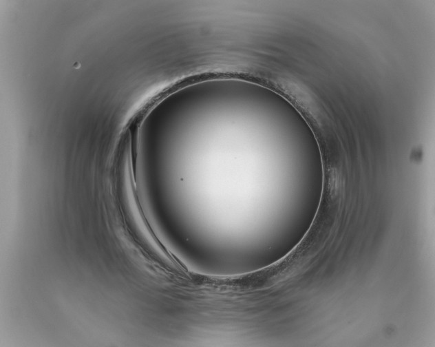 X0000090500676200707280002