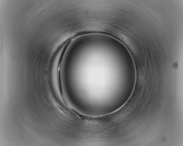 X0000090500677200707280002