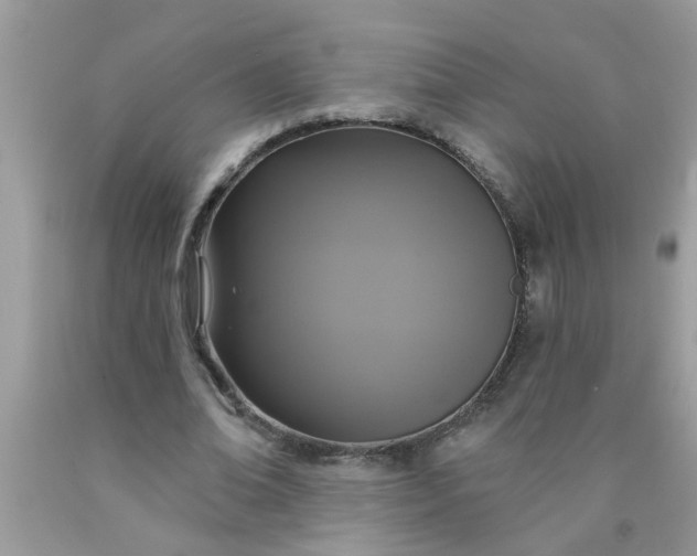 X0000090500678200707280002