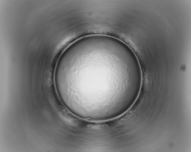 X0000090500679200707280002