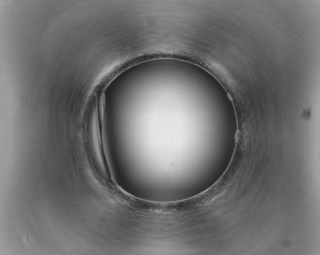 X0000090500680200707280002