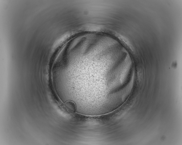 X0000090500682200707280002