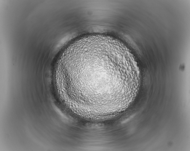 X0000090500683200707280002