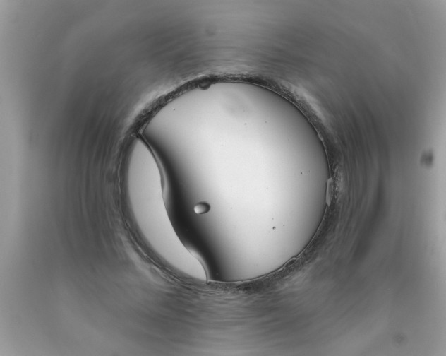 X0000090500684200707280002