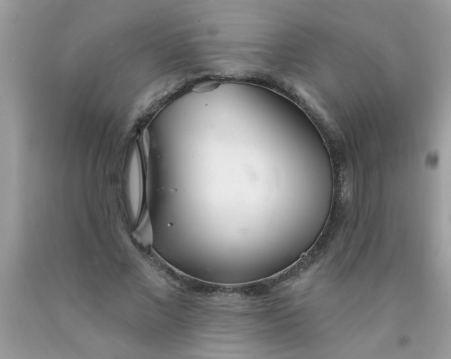 X0000090500685200707280002