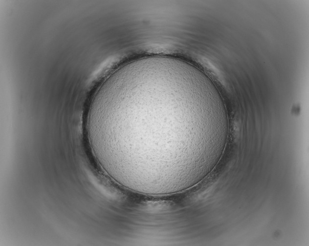 X0000090500686200707280002