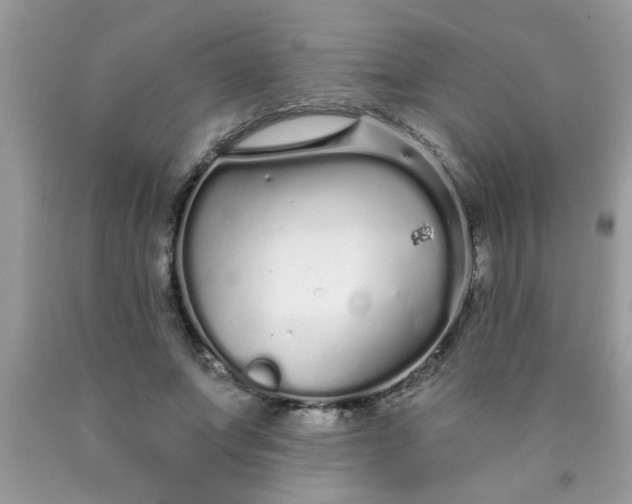 X0000090500687200707280002