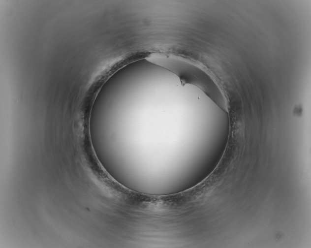 X0000090500688200707280002