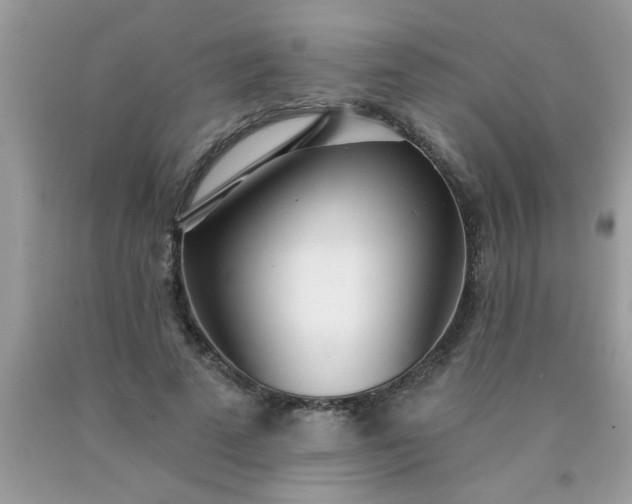 X0000090500689200707280002