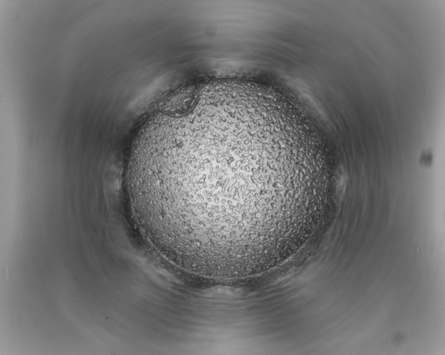 X0000090500691200707280002