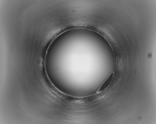 X0000090500692200707280002