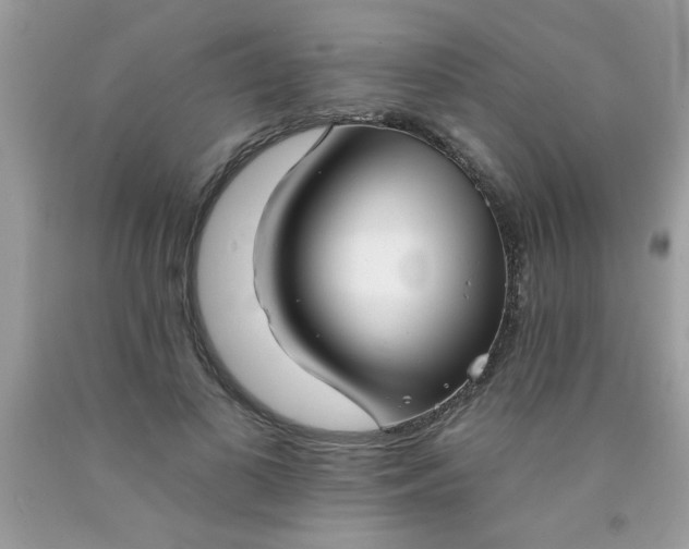 X0000090500693200707280002