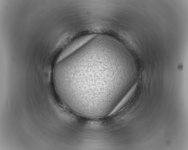 X0000090500694200707280001