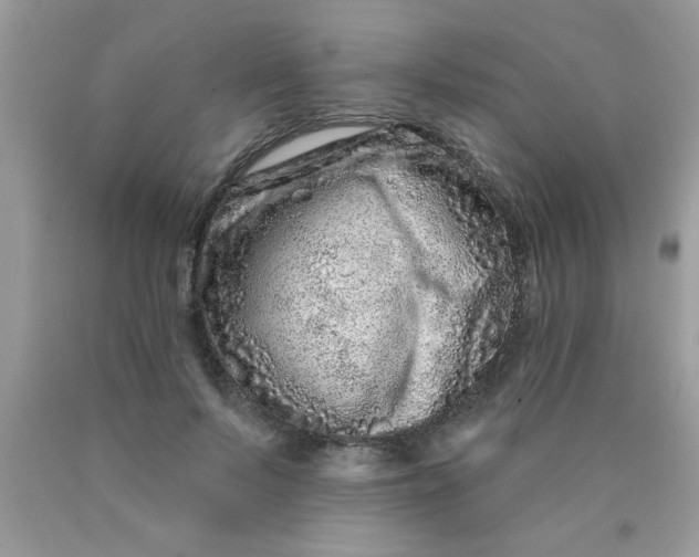 X0000090500695200707280001