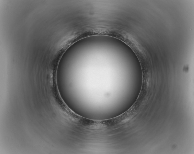 X0000090500696200707280001