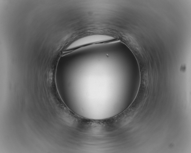 X0000090500697200707280001