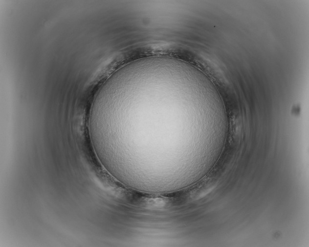 X0000090500698200707280001