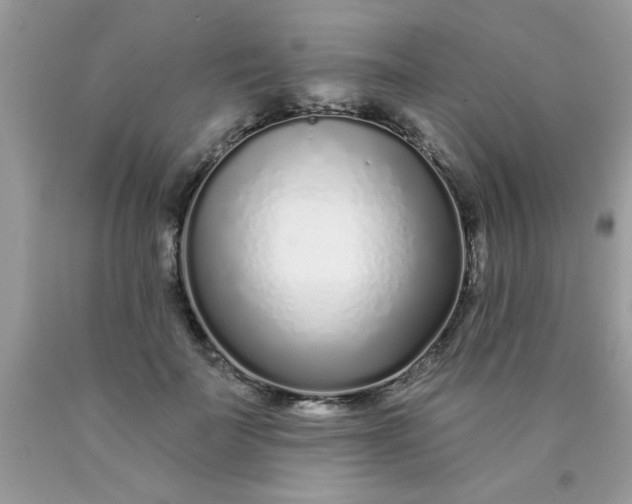 X0000090500699200707280001