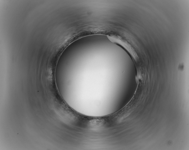 X0000090500700200707280001