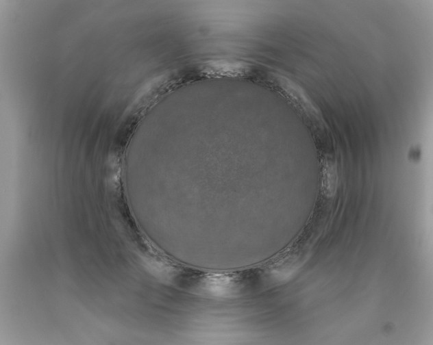 X0000090500701200707280001