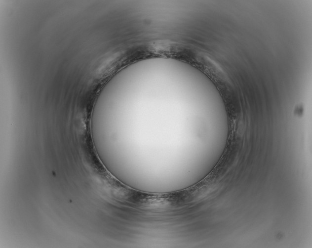 X0000090500702200707280001