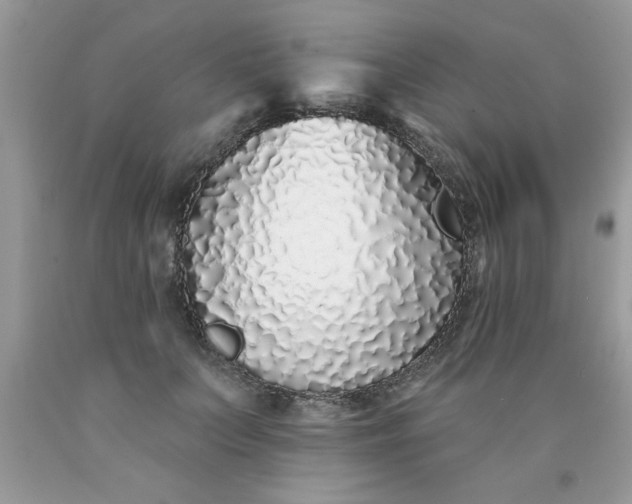 X0000090500703200707280001