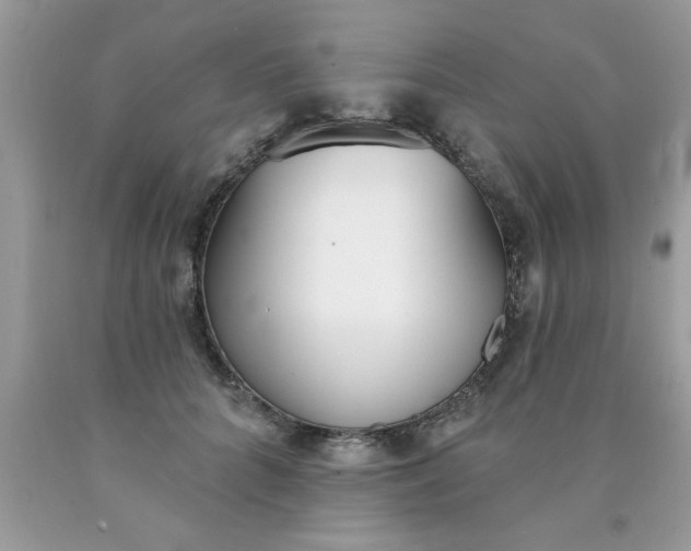 X0000090500704200707280001