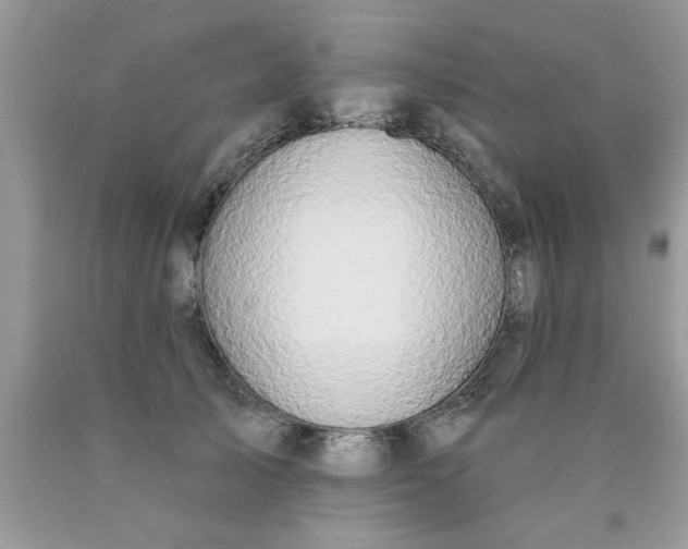 X0000090500705200707280001