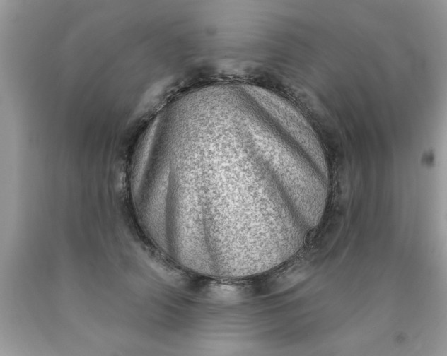 X0000090500706200707280001