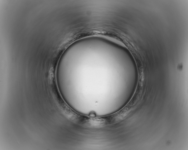 X0000090500707200707280001