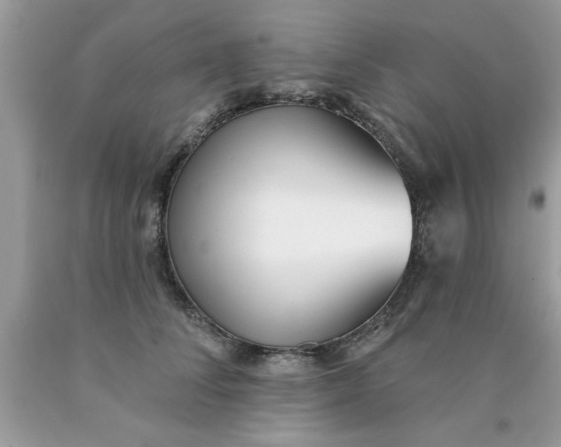 X0000090500708200707280001