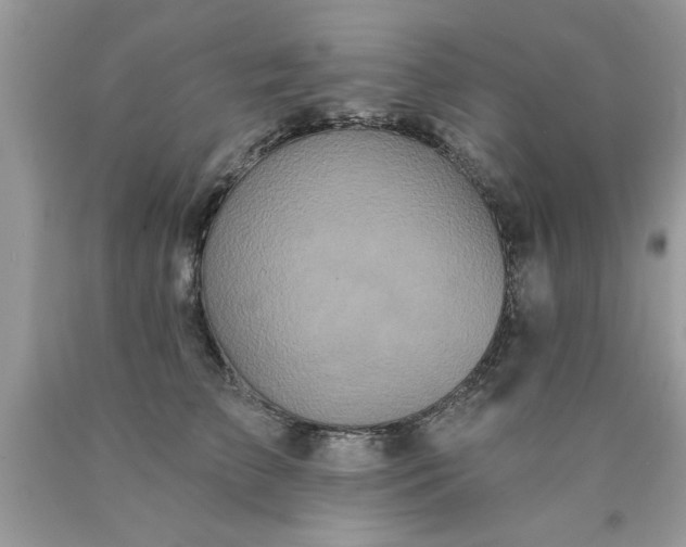 X0000090500709200707280001