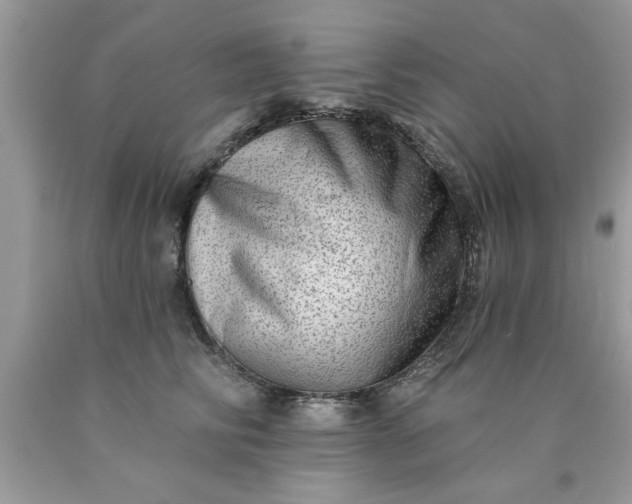 X0000090500710200707280001