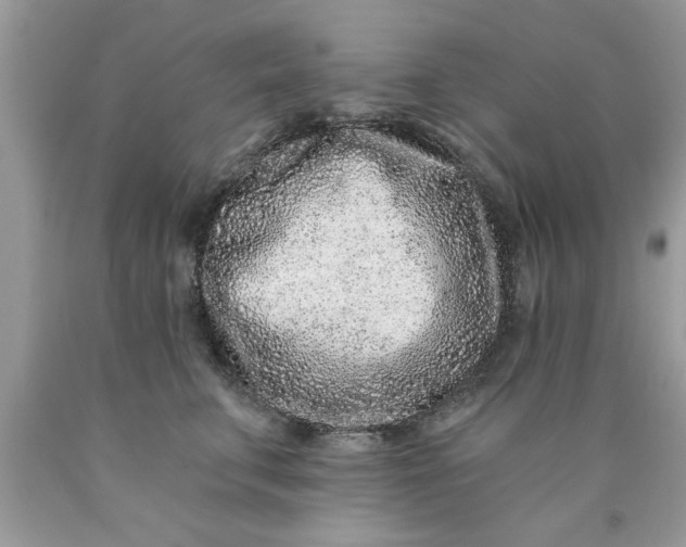 X0000090500711200707280001