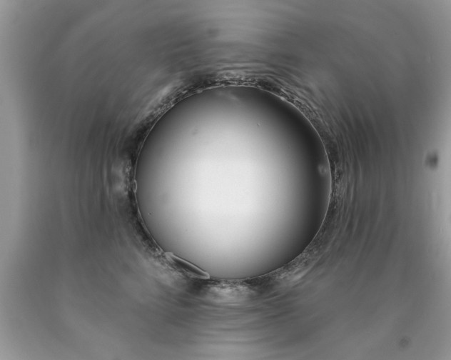 X0000090500712200707280001